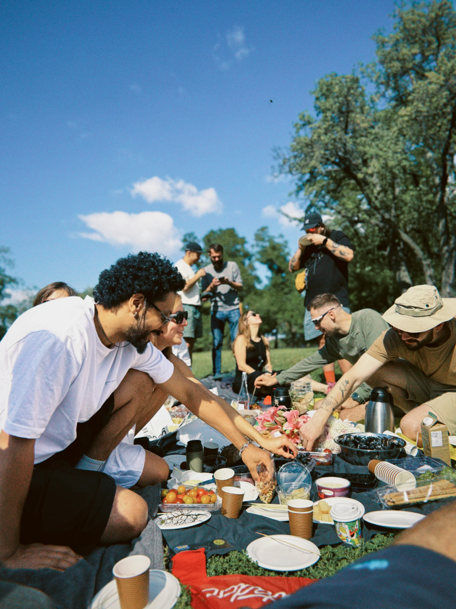 Picnic blanket with food in a park